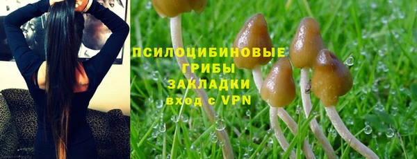 не бодяженный Абдулино